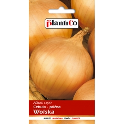 Cebula-Wolska---5-g